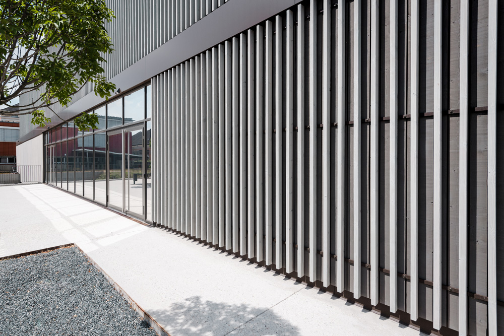 Moderne Fassade der HTL Zistersdorf mit vertikalen Lamellen aus vorvergrauter Thermofichte, daneben große Glasflächen und ein Baum im Vordergrund.