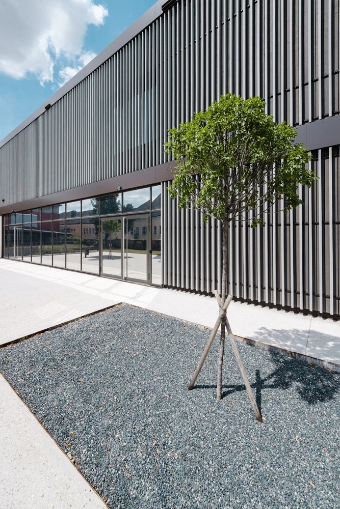 Fassade der HTL Zistersdorf mit vertikaler Holzverkleidung aus Thermofichte, vorvergraut – moderne Linienstruktur mit natürlicher Holzoptik, ergänzt durch minimalistisches Landschaftsdesign mit Baum und Kiesfläche.