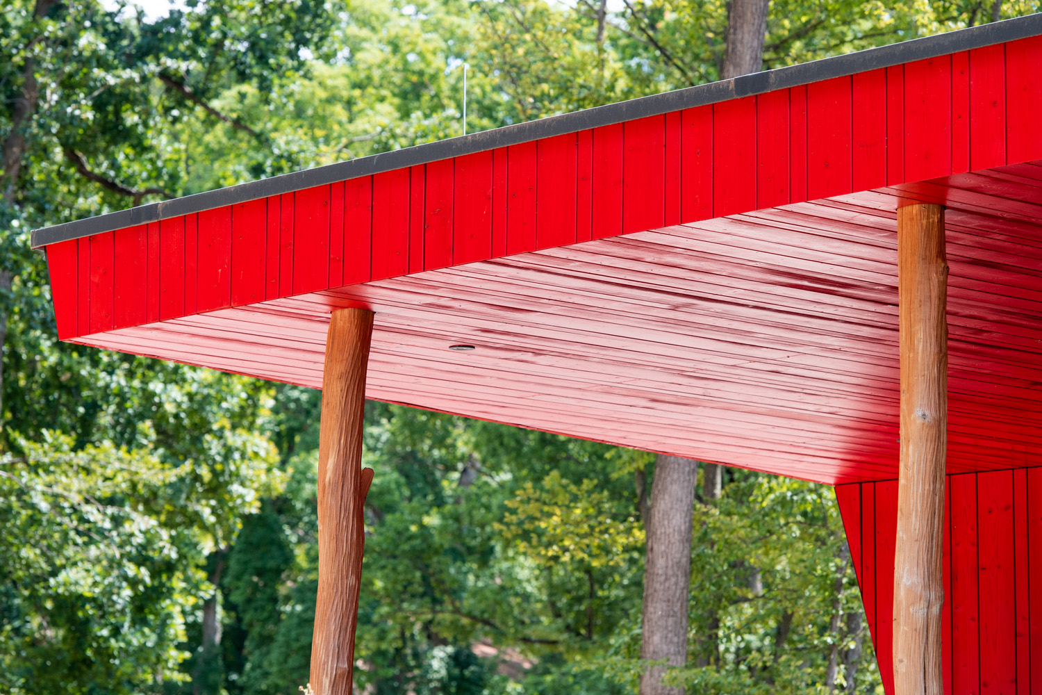 Detailansicht eines modernen Pavillons im Wildpark Ernstbrunn mit Fassade und Decke aus rot beschichtetem Gran Paradiso Holz. Die Konstruktion wird von naturbelassenen Holzstützen getragen und steht vor einer grünen Waldkulisse.