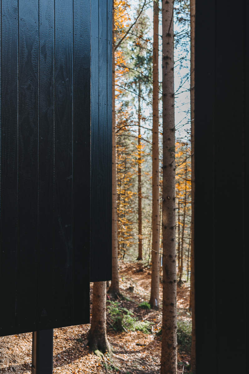 Schwarze vertikale Holzfassade aus Kebony-Holz mit Blick auf herbstlichen Mischwald beim Naturhotel Fischerwirt Salzburg – architektonisches Detail in harmonischem Naturkontext.