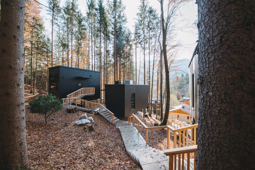 Mehrere schwarze Chalets mit Kebony-Holzfassade stehen zwischen hohen Bäumen im herbstlichen Wald des Naturhotels Fischerwirt Salzburg. Ein Weg mit Holzgeländer führt hinab zu den Häusern.