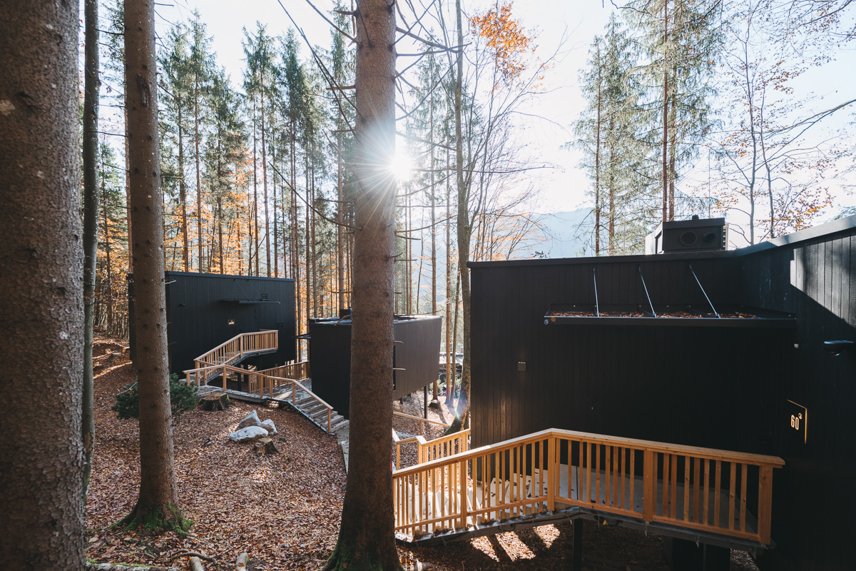 Mehrere moderne Chalets mit schwarzer Kebony-Holzfassade und hellem Holzgeländer im herbstlichen Wald des Naturhotels Fischerwirt Salzburg, Sonnenstrahlen dringen durch die Bäume.