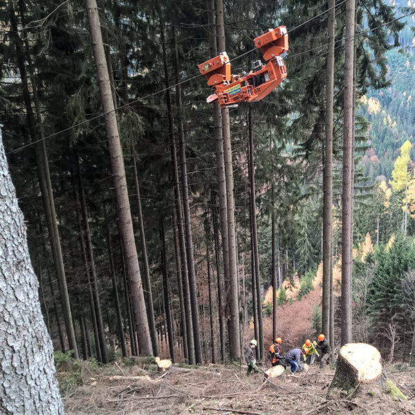 Pupils from the Bruck an der Mur forestry school harvesting wood in a steep hillside forest. A cable crane system transports tree trunks across the terrain while several people in protective clothing work on the ground.